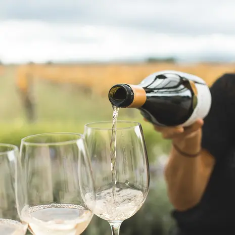 Wijnproeven in Nieuw-Zeeland kan maar al te goed tijdens een wijntour