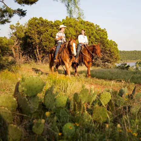 Voel je een echte Texaanse cowboy op de Wildcatter Ranch, Texas, USA