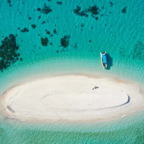 Great Barrier Reef boottocht