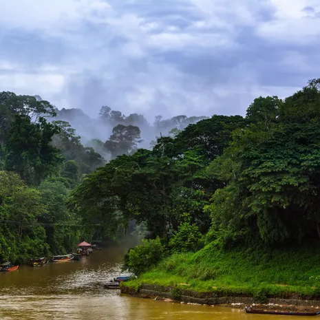 Ontdek de natuur van Taman Negara, Maleisie
