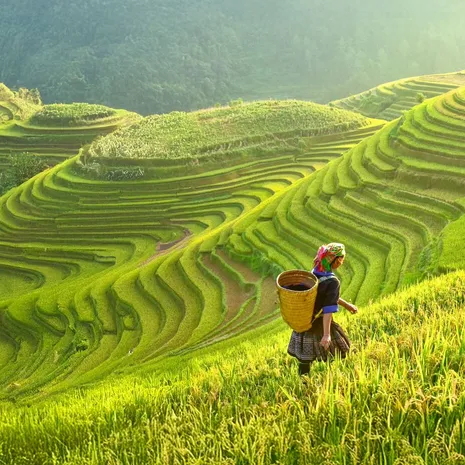 Vrouw in rijstveld in Mai Chau, vietnam