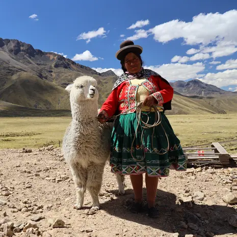 Peruaanse met alpaca