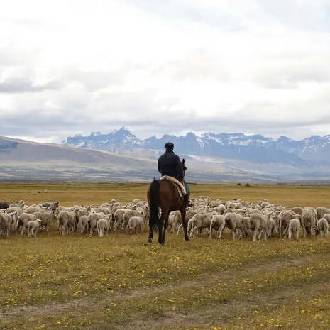 Op excursie in Torres del Paine in Chili