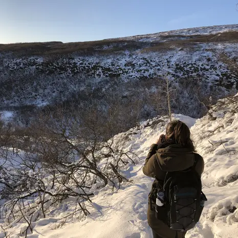 Doen tijdens een roadtrip IJsland