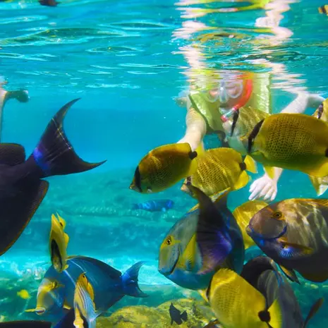 248132f4-4b15-4fde-b574-460d2b93b20a