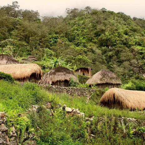 Irian Jaya