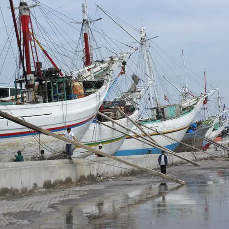 Grote houten Buginese schoeners in de haven van Jakarta