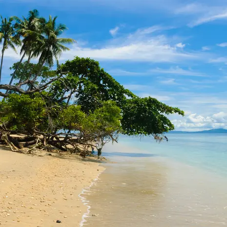 Indonesie-Sulawesi-Bunaken-Strand_2_249073