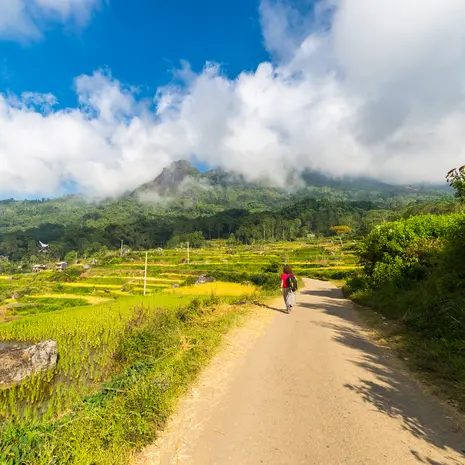 Indonesie-Sulawesi-Toraja-landschap-trekker_1