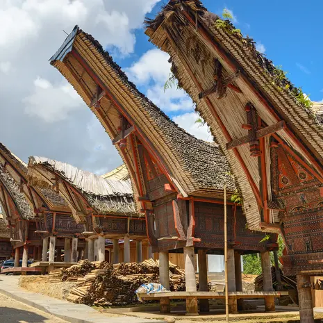 De zadeldakken van Torjaland, Sulawesi