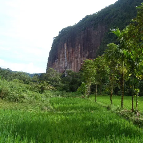 Pure schoonheid in de Harau Vallei op Sumatra