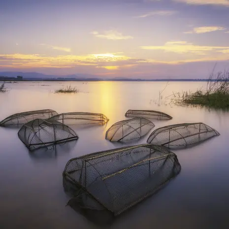 Zonsondergang en visnetten Alor, Indoneisë