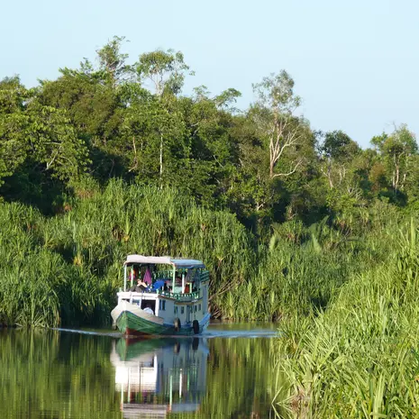 Varend door Tanjung Puting NP kun je orang oetans spotten, Kalimantan, Indonesië