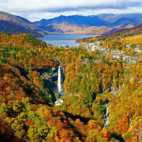 Op ontdekking in het ongerepte nationale park Nikko
