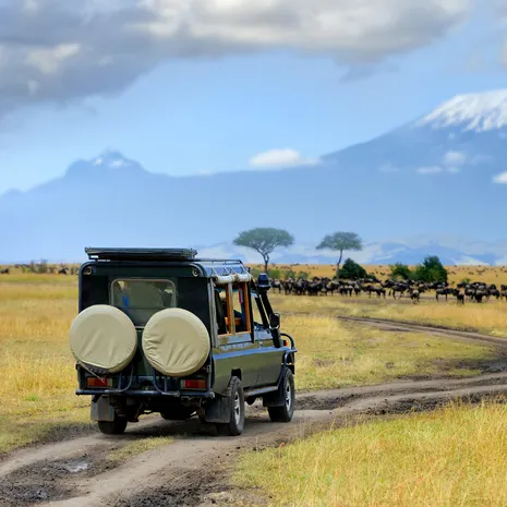 Gamedrive in de Masai Mara in Kenia