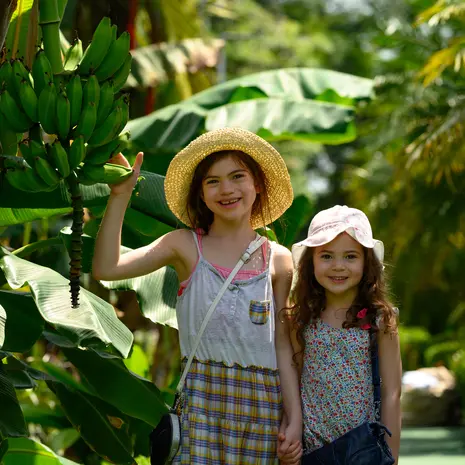 Met het gezin op rondreis naar Costa Rica