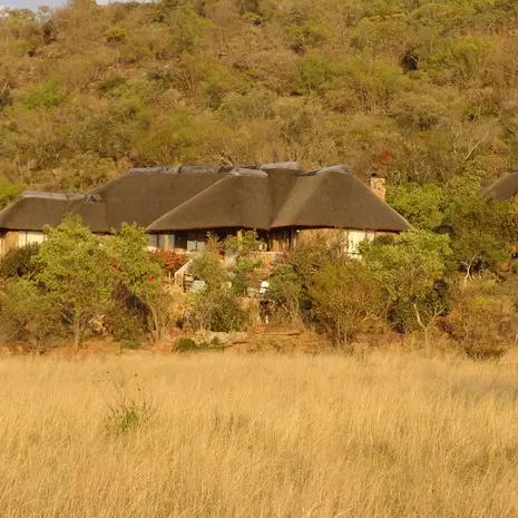 Kololo Game Reserve in Waterberg