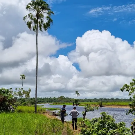 Wandelen door Korowai, Papoea-Irian Jaya