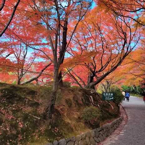 Herfstkleuren in Japan
