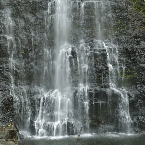 Bolaven Plateau, Laos