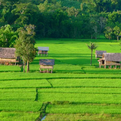 Noord-Laos