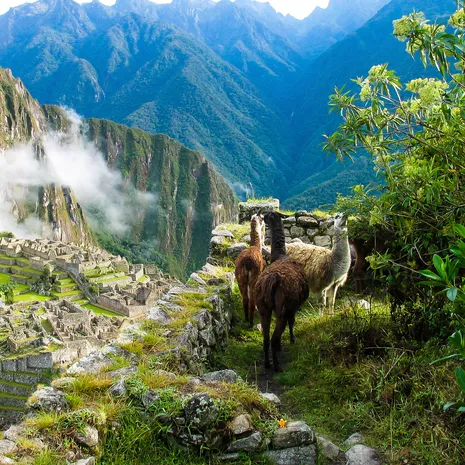 Hoogtepunt Machu Picchu Peru