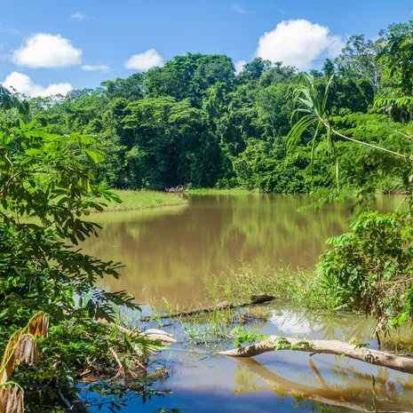 De nationale parken van Bolivia