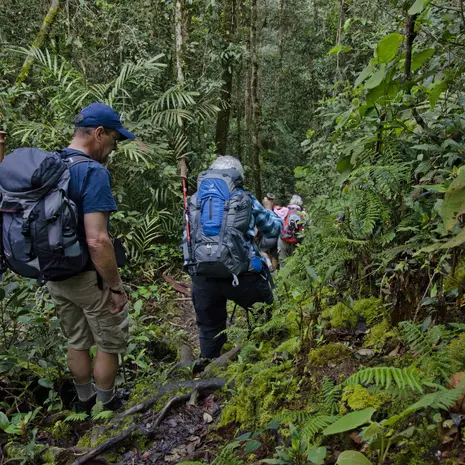 Maak een trekking in Crocker Range, Maleisië