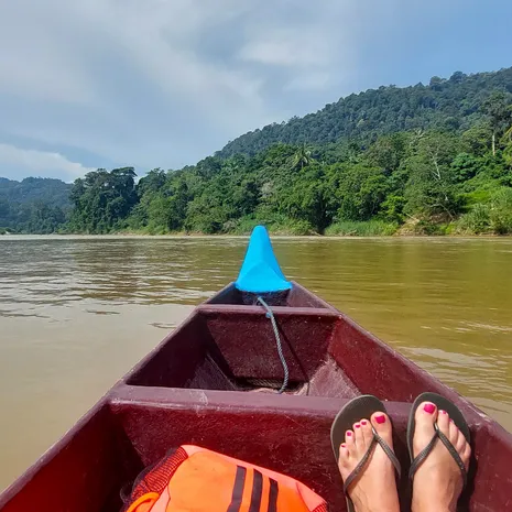 Boot door de groene jungle over de rivier van Taman Negara