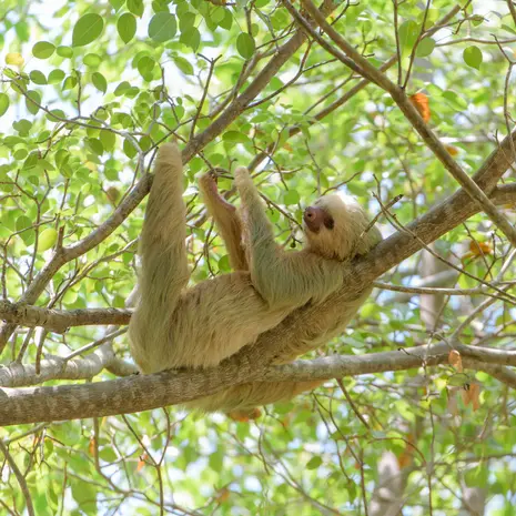 Manuel Antonio National Park