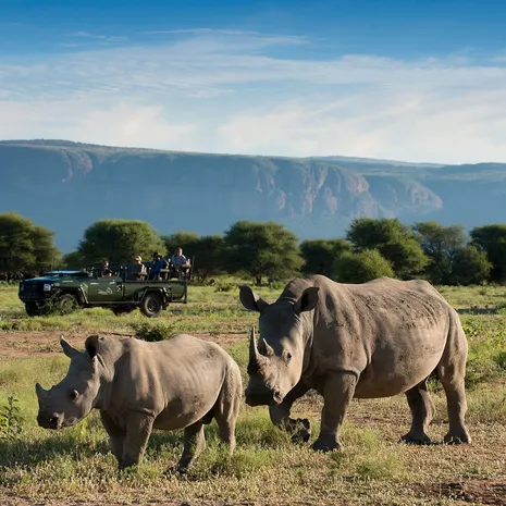 Marakele-National-Park in Zuid-Afrika