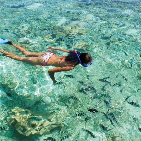 Snorkelen Mauritius