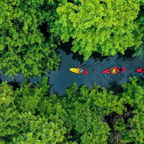 Mauritius, kajakken Tamarin Rivier