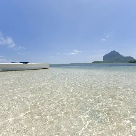 Safari Zuid-Afrika en de tropische stranden van Mauritius