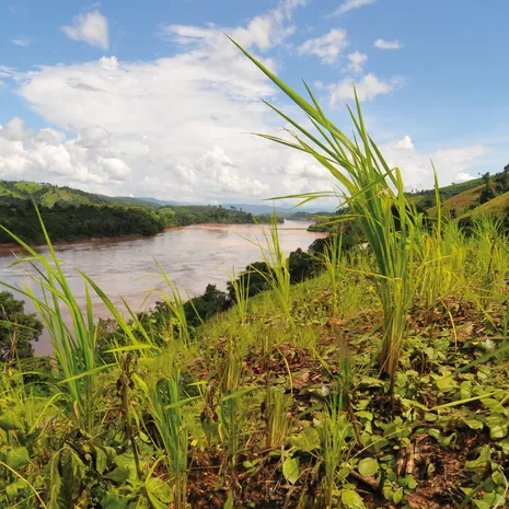 Uitzicht op de Mekong-rivier in Zuid-Laos