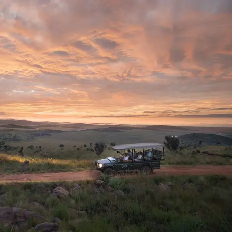 Op safari in Zuid-Afrika