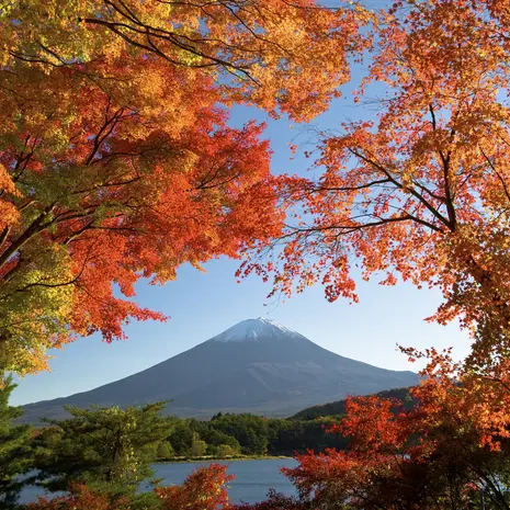 Japan en Mount Fuji in herfstkleuren