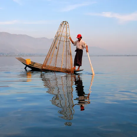 Beenroeier tijdens het vissen in Inle Lake