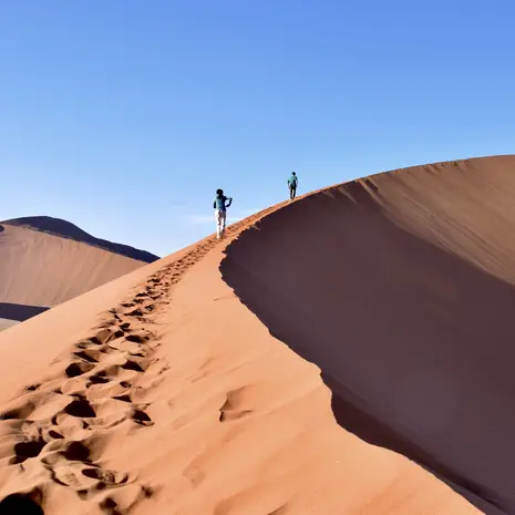 Natuurwonder Dune 45 Sossusvlei Namibië