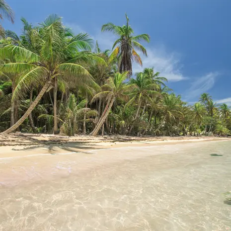 Bounty stranden en tropische palmbomen in Nicaragua