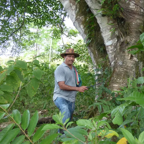 Jungle en chocoladetour in El Castillo