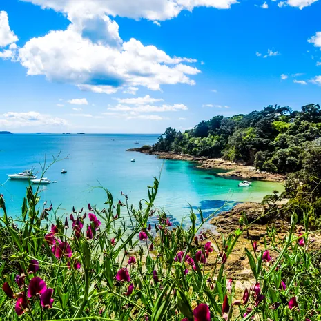 Relaxen op Waiheke Island, Hekerao Bay