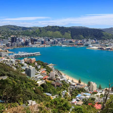 Luchtfoto van de baai in Wellington, Nieuw-Zeeland