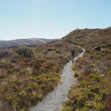 Nieuw-zeeland-Tongariro-NP (1)