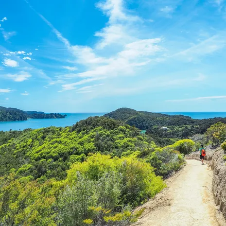 Wandelen in Abel Tasman NP