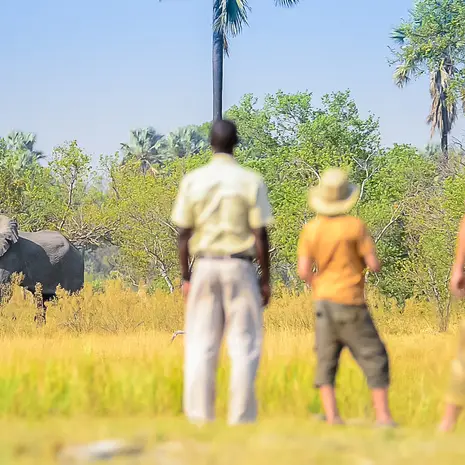 Kampeersafari in Botswana