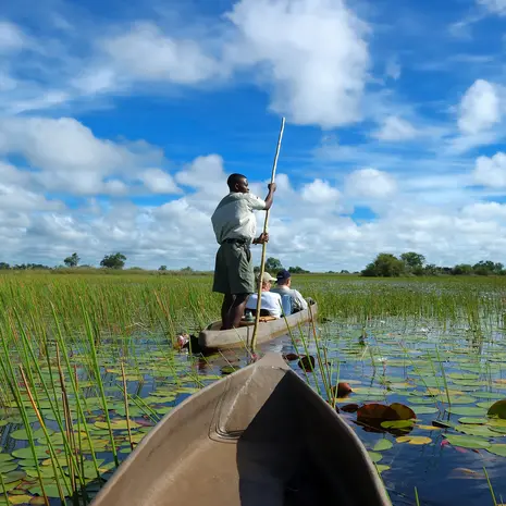 Vaar in een mokoro door de Okovango Delta, Botswana