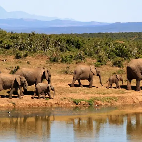 Ruaha National Park