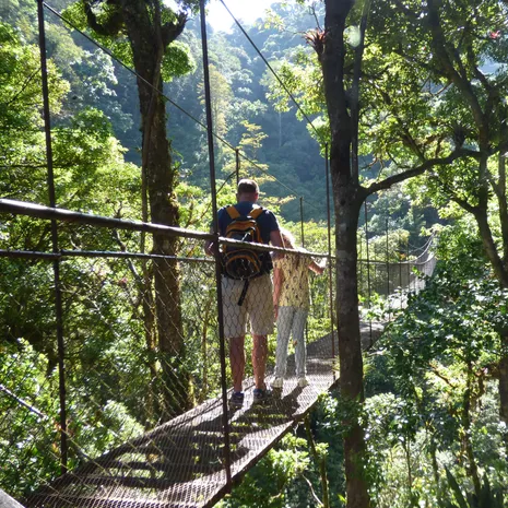 Gezin over de hangbrug in Panama