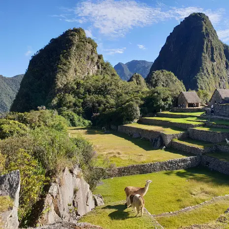 Machu Picchu